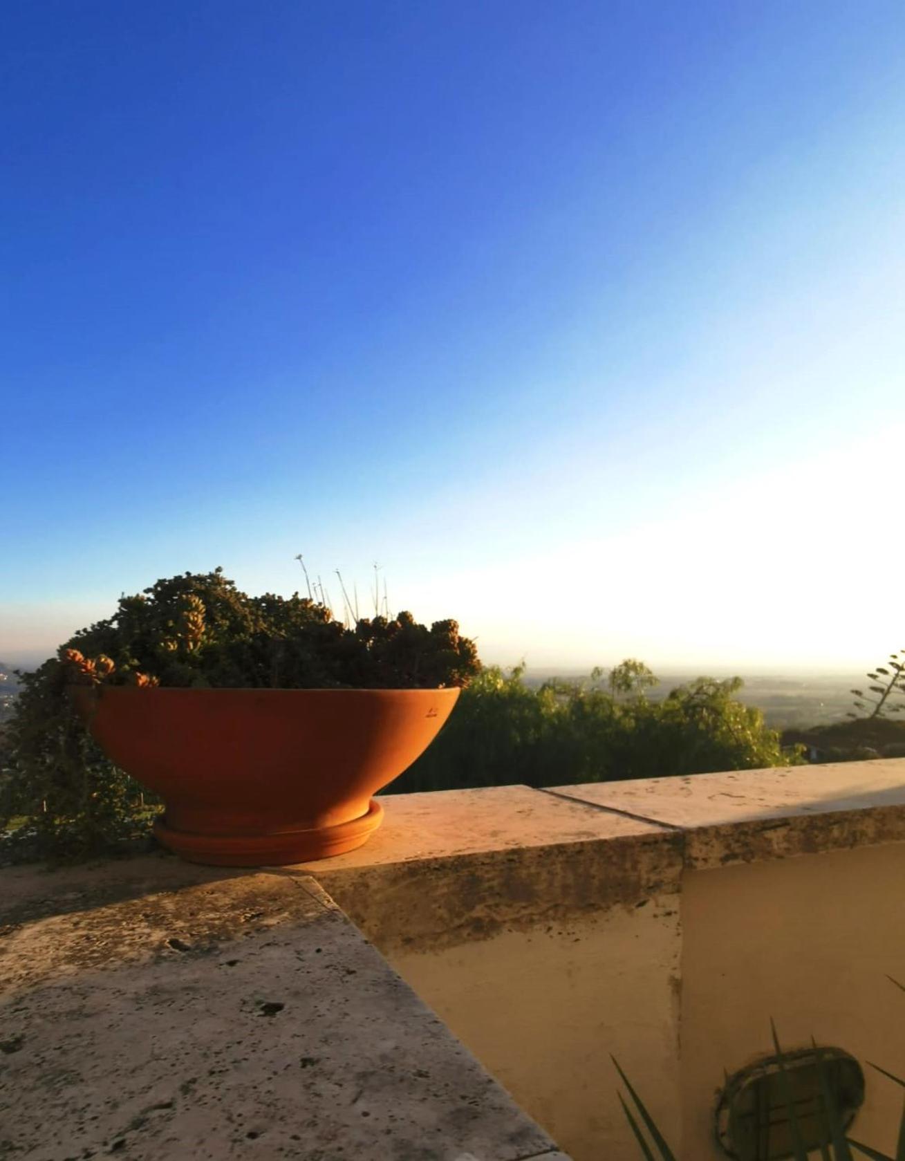 Villa Dei Romani - Country House Guidonia Kültér fotó