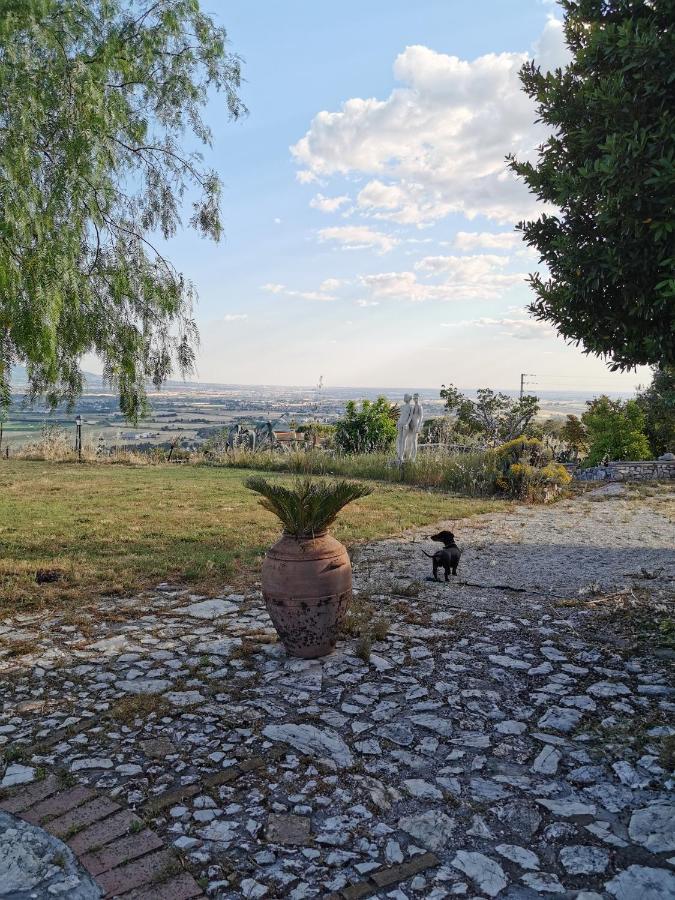 Villa Dei Romani - Country House Guidonia Kültér fotó